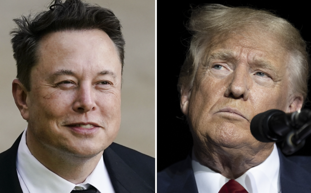 Elon Musk arremete contra asesor comercial de Donald Trump: “tonto imbécil” - Portada Oficial
