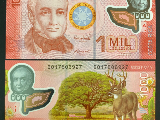 Estafa a más de 1.000 colonienses