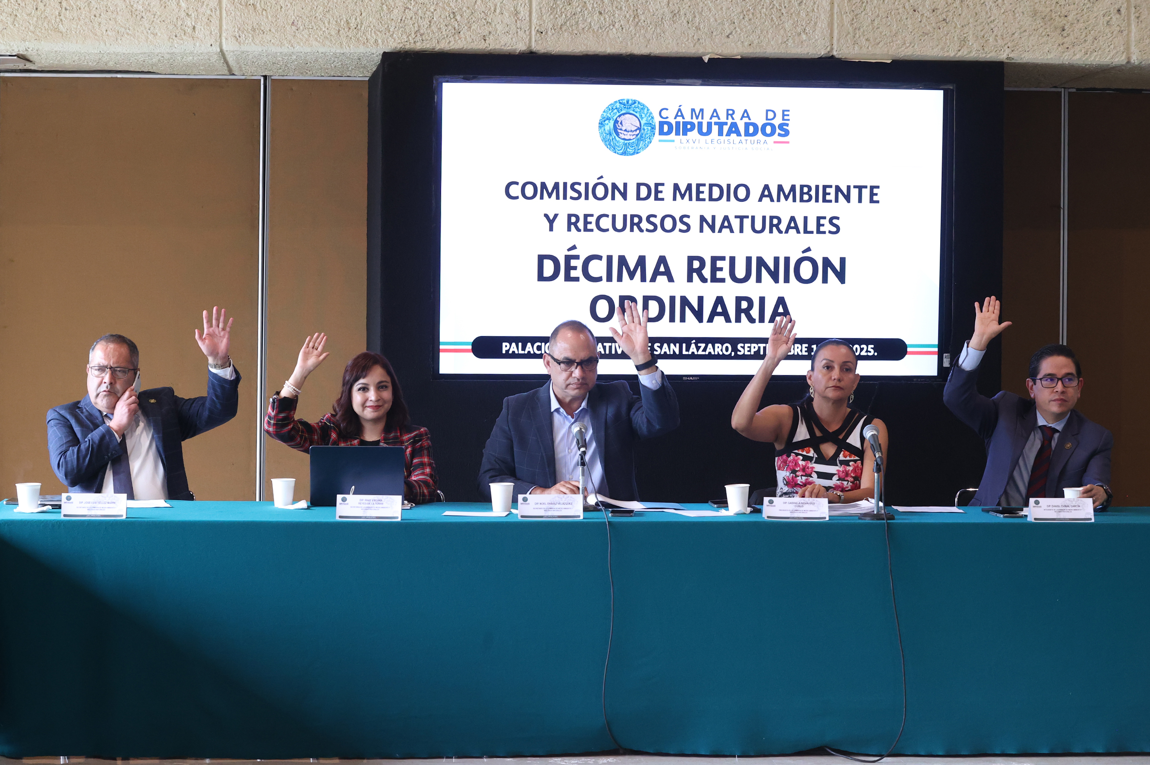 Gobierno firmó decreto que suspende caza deportiva de patos 2026