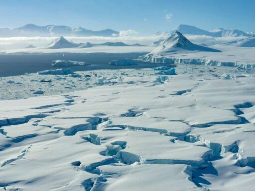 La Antártida, el desierto más grande del mundo: una inmensidad helada