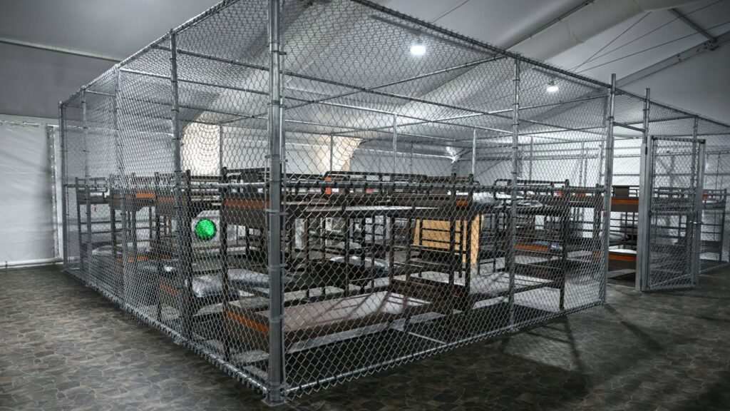 Llegan a Alligator Alcatraz los primeros detenidos