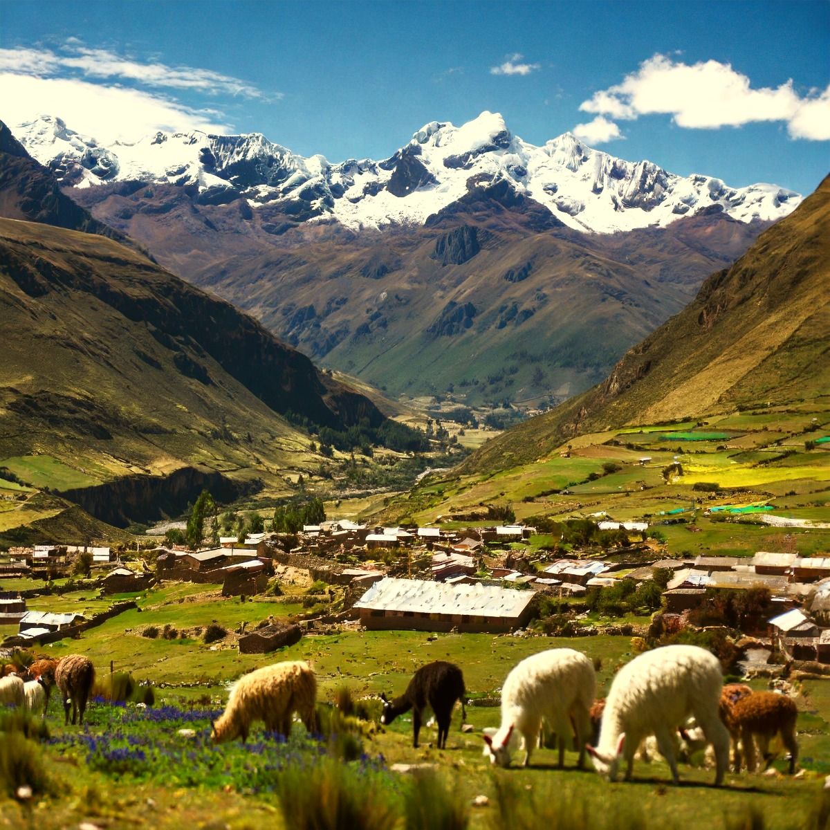 Machu Picchu: 7 maravillas que hacen único al santuario inca