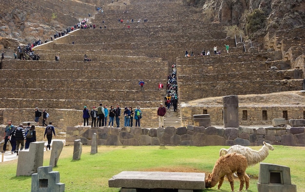 Machu Picchu: 7 maravillas que hacen único al santuario inca