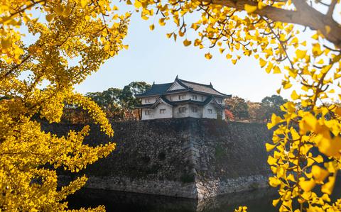 Naruhito, el Emperador que moderniza la monarquía japonesa