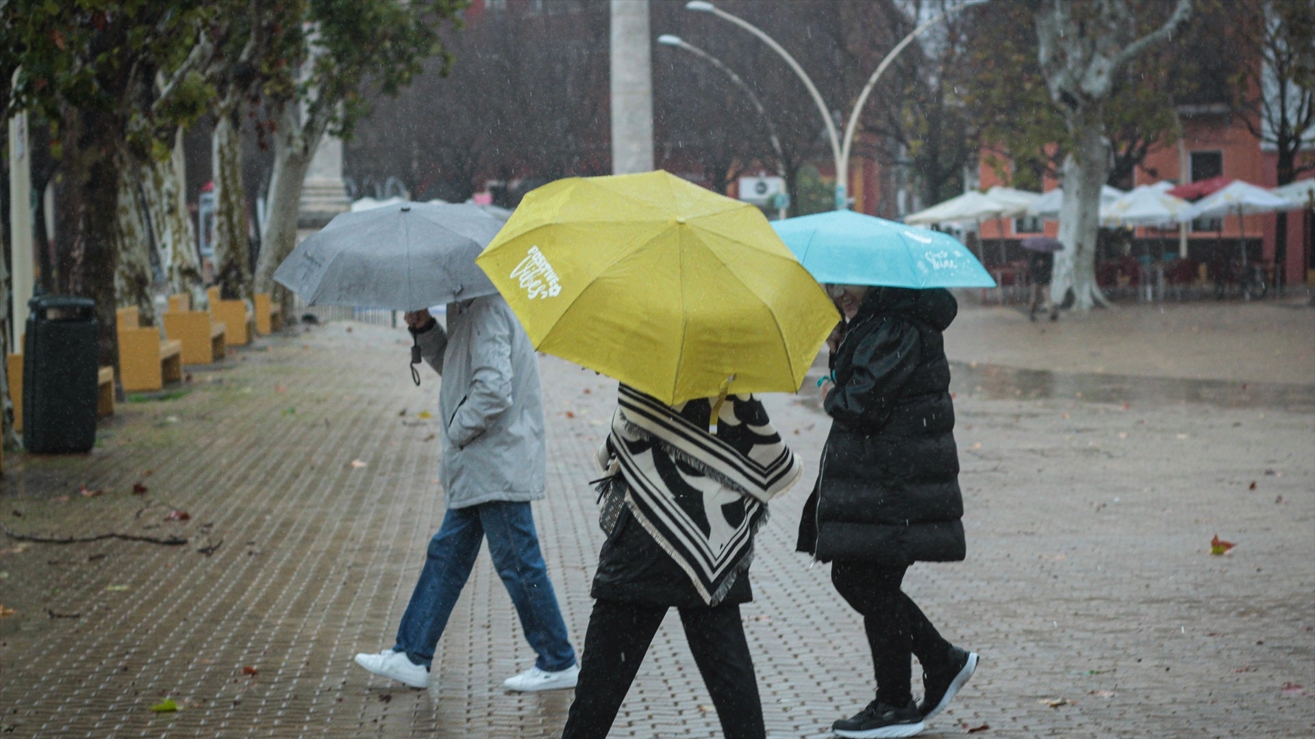 Niebla persistente y caída de temperatura: alerta meteorológica para Montevideo