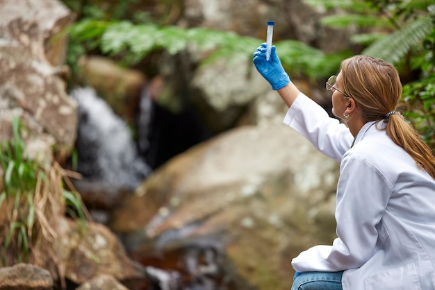 Pando: el organismo de 6.000 toneladas que desafía la biología