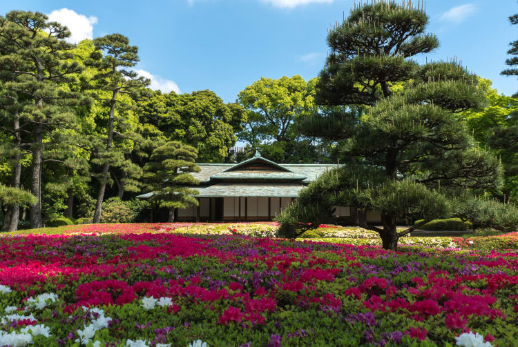 Princesa Aiko de Japón: la joya discreta del Trono del Crisantemo