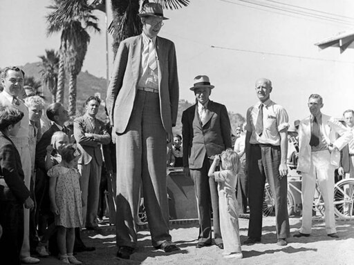 Robert Wadlow
