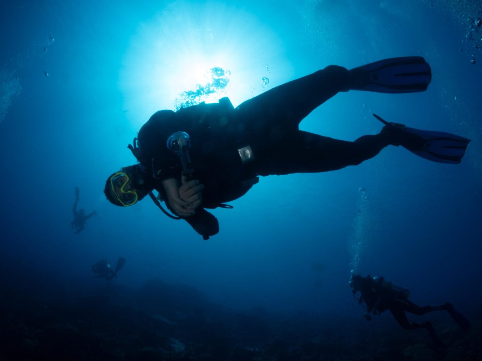 ¿Sabías que tu cara activa un reflejo de buceo similar al de los delfines?
