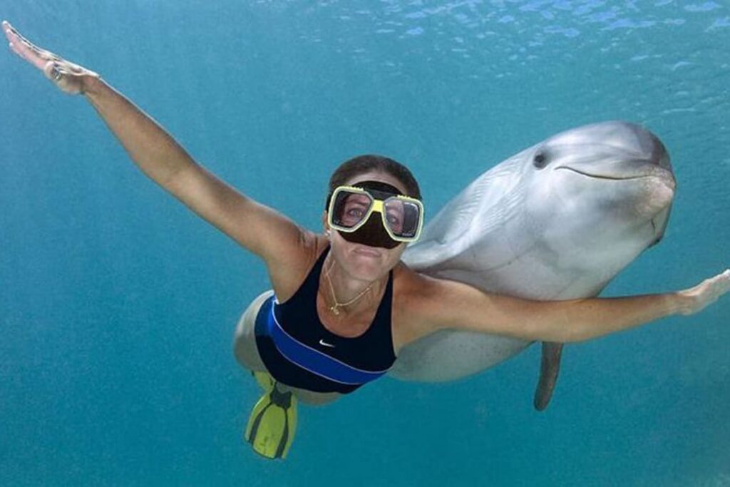 ¿Sabías que tu cara activa un reflejo de buceo similar al de los delfines? - Portada Oficial