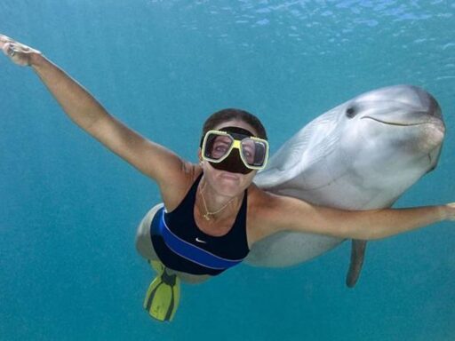 ¿Sabías que tu cara activa un reflejo de buceo similar al de los delfines? - Portada Oficial