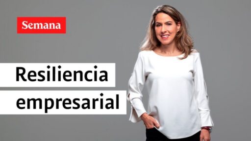 Todo lo que debes saber sobre Resiliencia