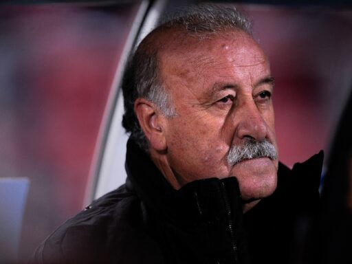 Vicente del Bosque