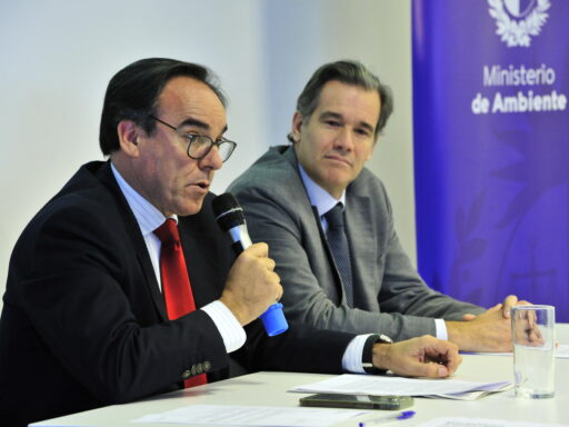 Vuelta atrás: gobierno deroga decreto que flexibilizó la aprobación ambiental de proyectos forestales