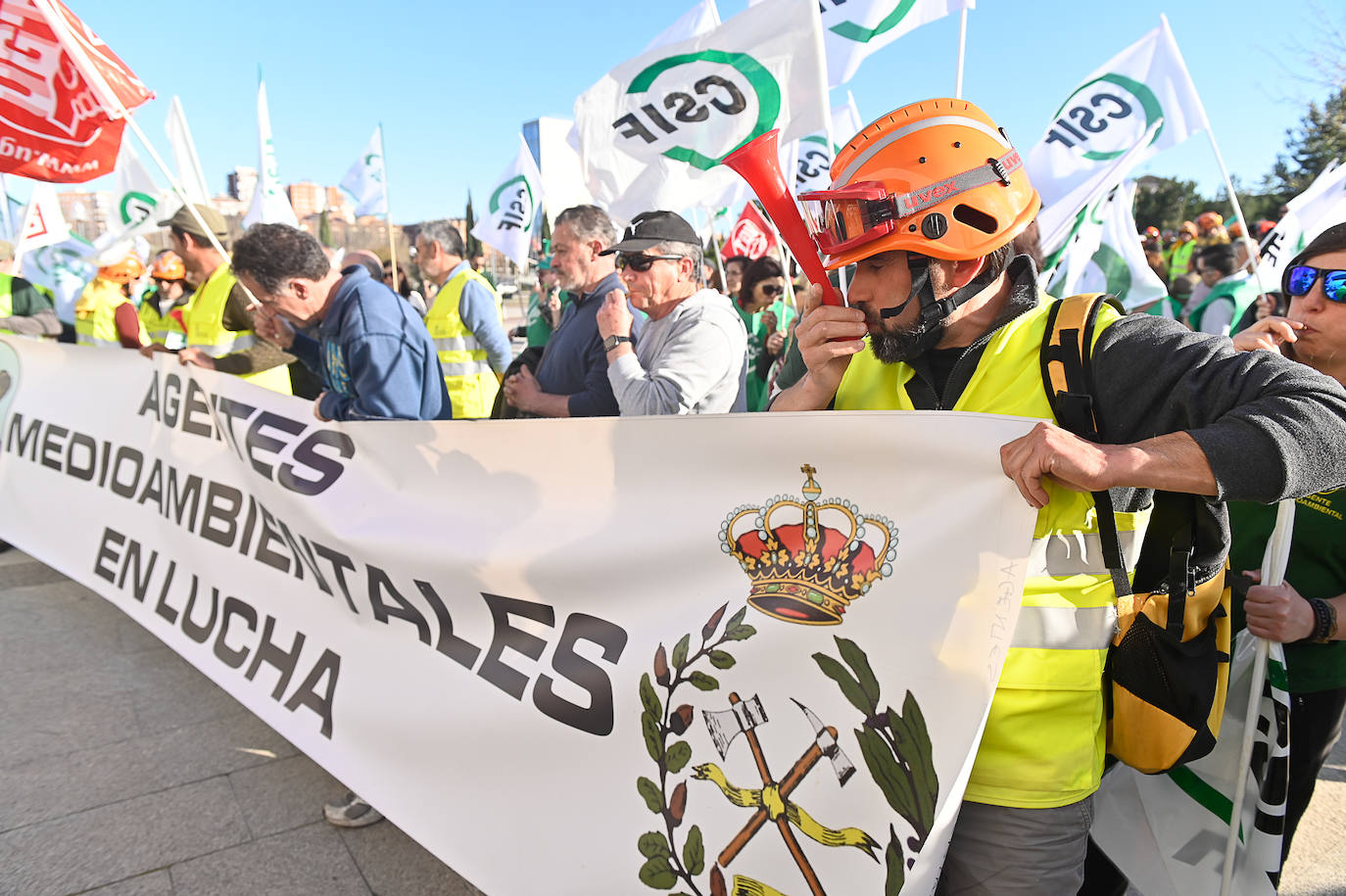Vuelta atrás: gobierno deroga decreto que flexibilizó la aprobación ambiental de proyectos forestales