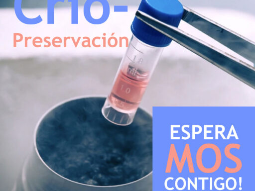 Imagen ilustrativa de CRIOPRESERVACION EN TRATAMIENTOS DEREPRODUCCION ASISTIDA…… - CEFERTIL