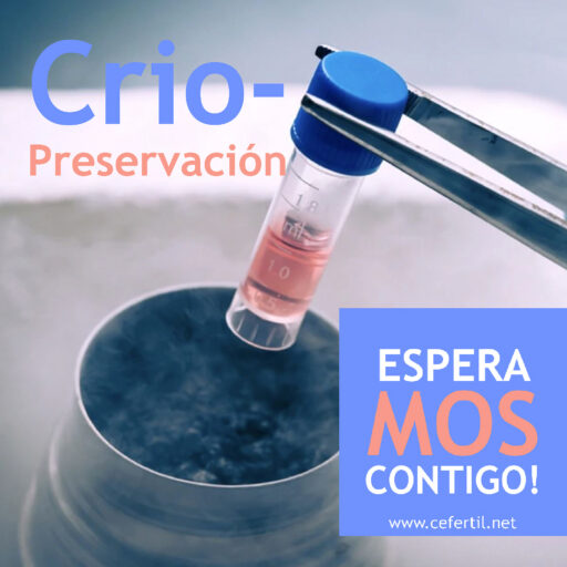 Imagen ilustrativa de CRIOPRESERVACION EN TRATAMIENTOS DEREPRODUCCION ASISTIDA…… - CEFERTIL