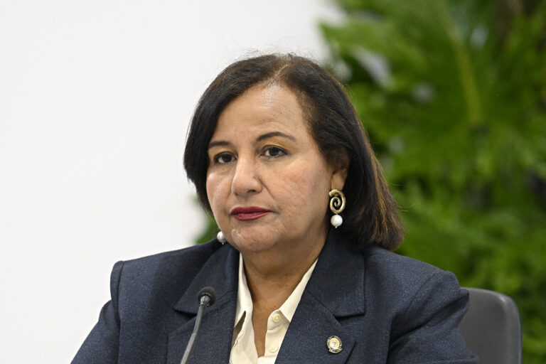 Dinorah Figuera: nuevo TSJ antes de diciembre y garantías