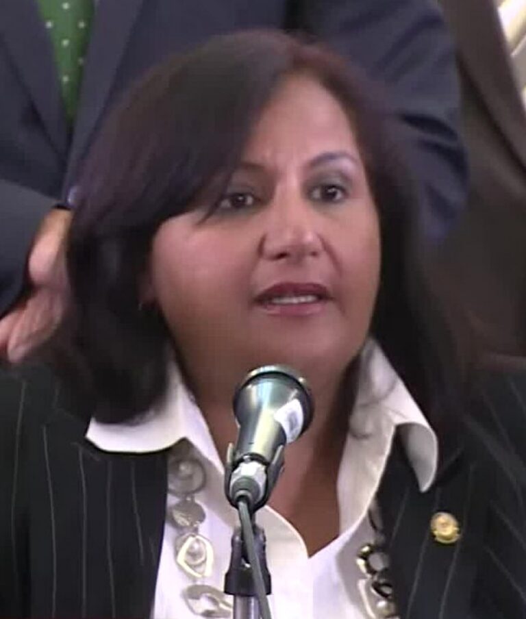 Dinorah Figuera llama «enjambre» a quienes la critican en redes