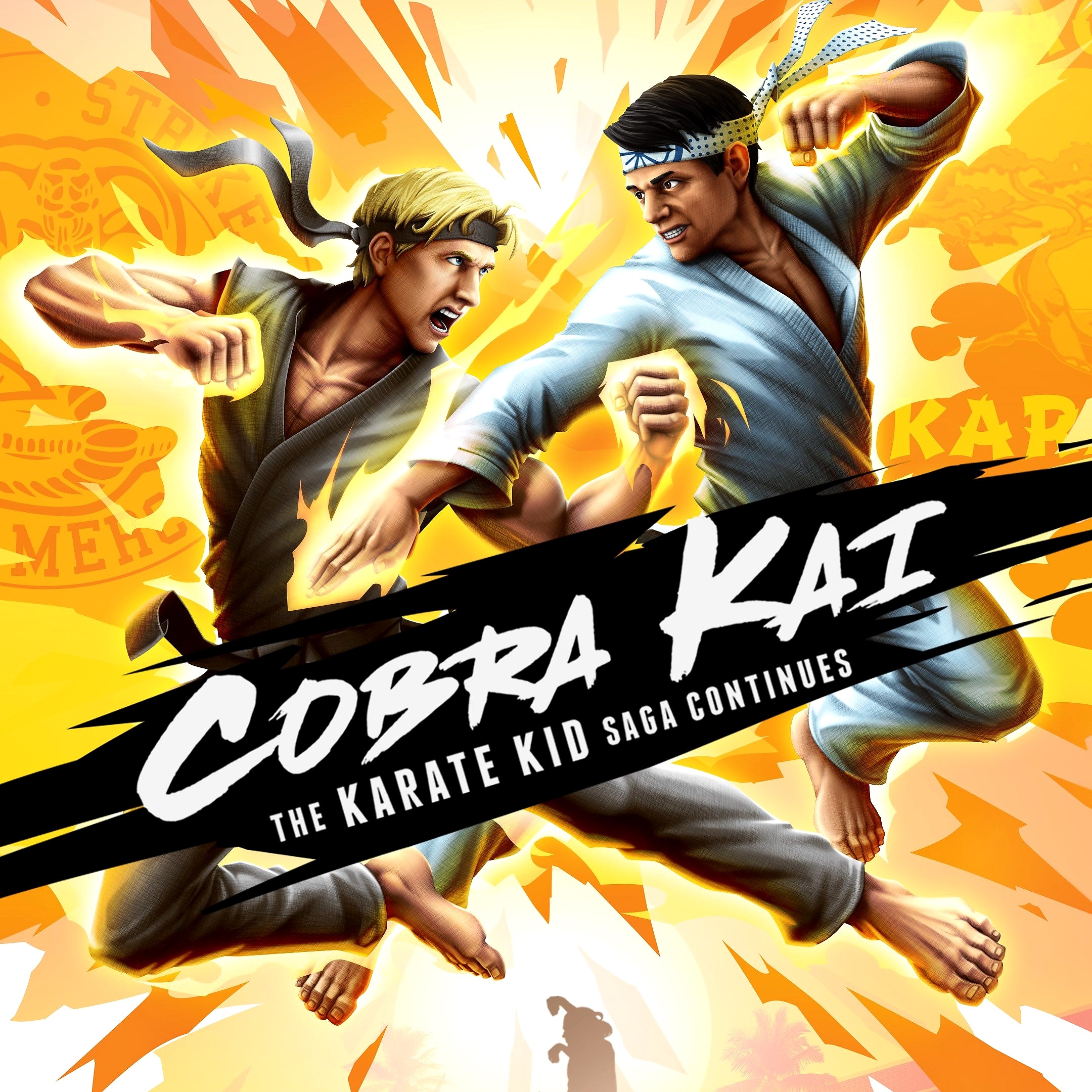 Karate Kid y Cobra Kai - El legado perdura: cómo Cobra Kai sigue inspirando a nuevas generaciones