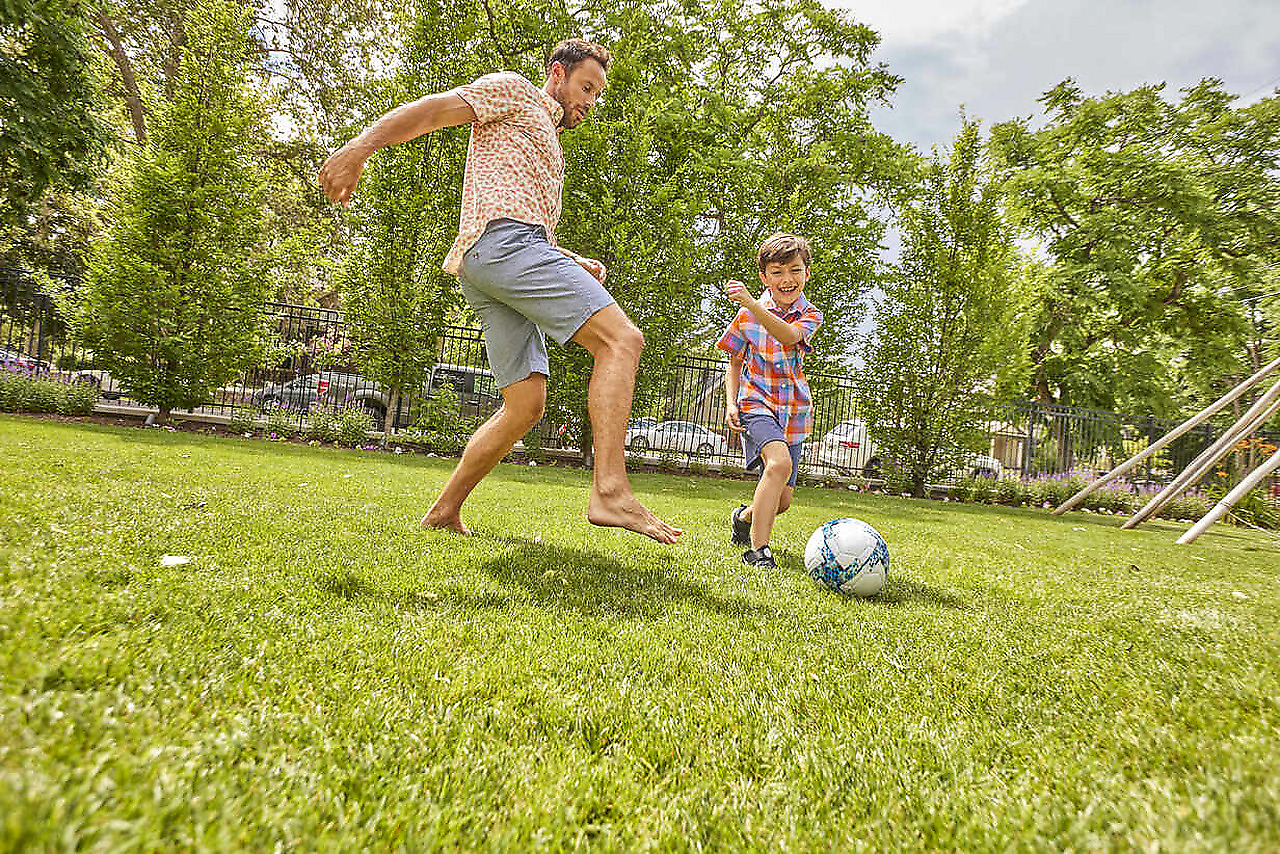 La Ley del Proceso: El arte de sembrar en silencio - Reflexión
