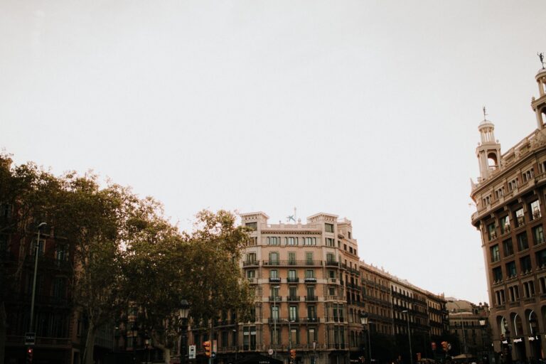 La Gracia como Bálsamo: Sanar el Vínculo Familiar