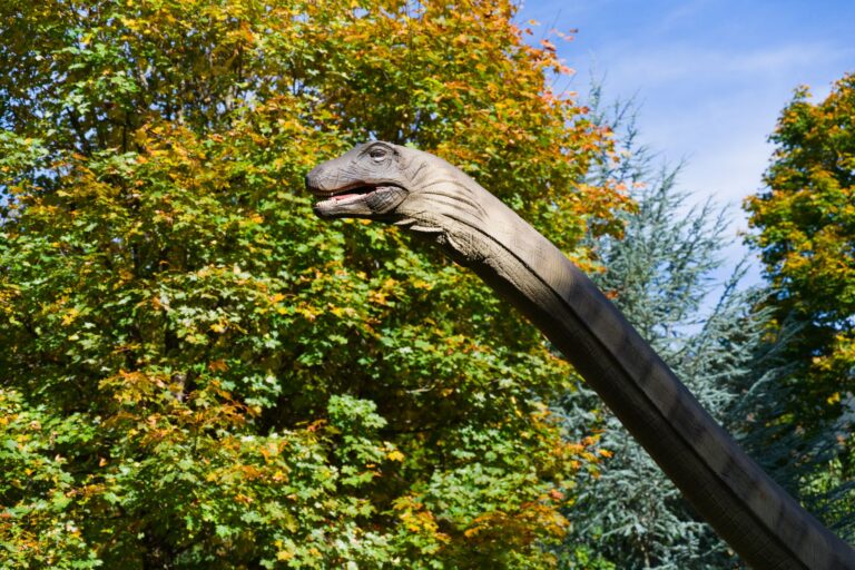 Mamenchisaurus hochuanensis: el saurópodo de cuello gigante