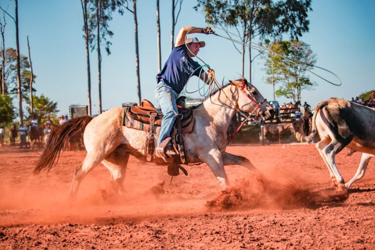 Lasso: la historia del lazo que domó el Nuevo Mundo