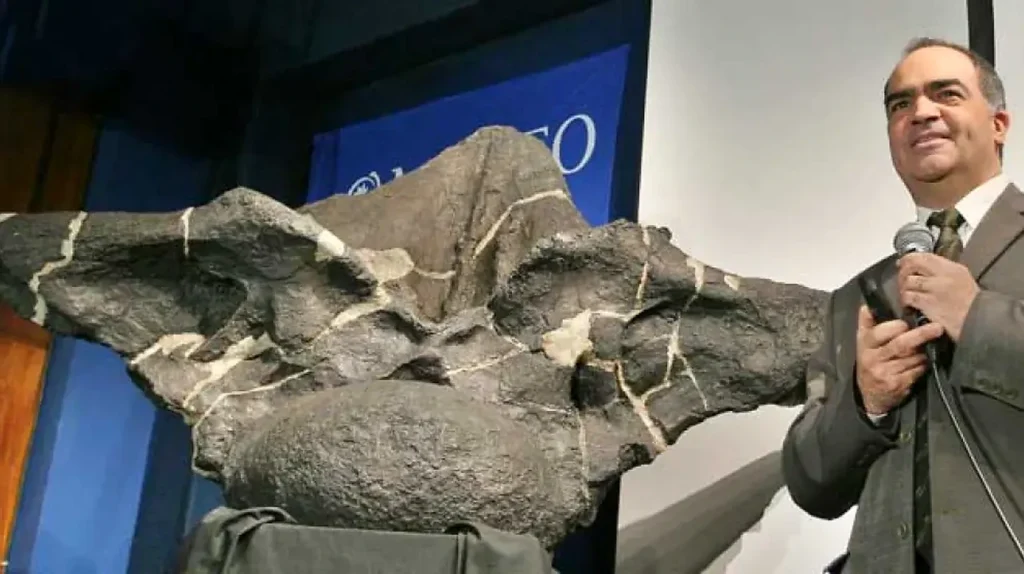 Imagen ilustrativa de Un dinosaurio de cuarenta metros de largo y 100 toneladas vivió en la ...