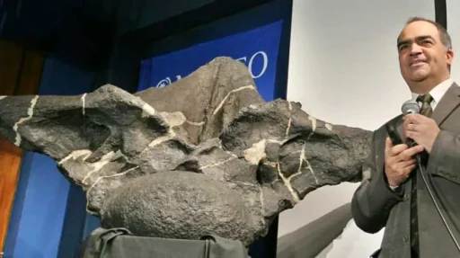 Imagen ilustrativa de Un dinosaurio de cuarenta metros de largo y 100 toneladas vivió en la ...