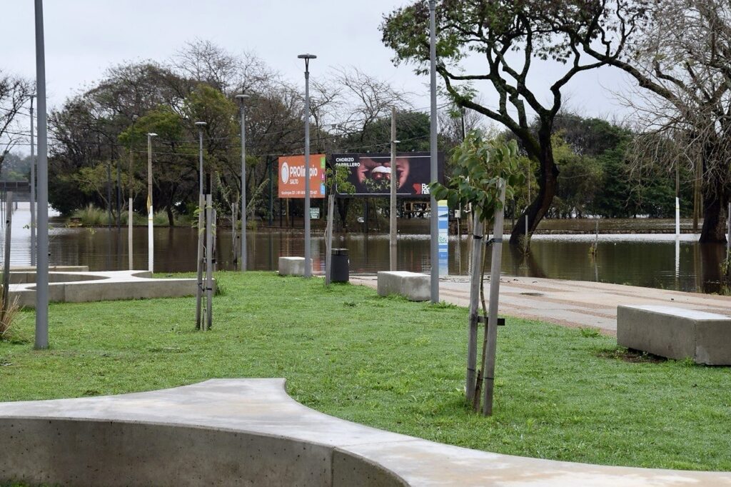 Crecida del río Uruguay: Salto adelanta evacuaciones y el agua ya cubre la costanera