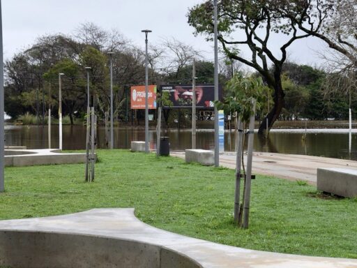 Crecida del río Uruguay: Salto adelanta evacuaciones y el agua ya cubre la costanera