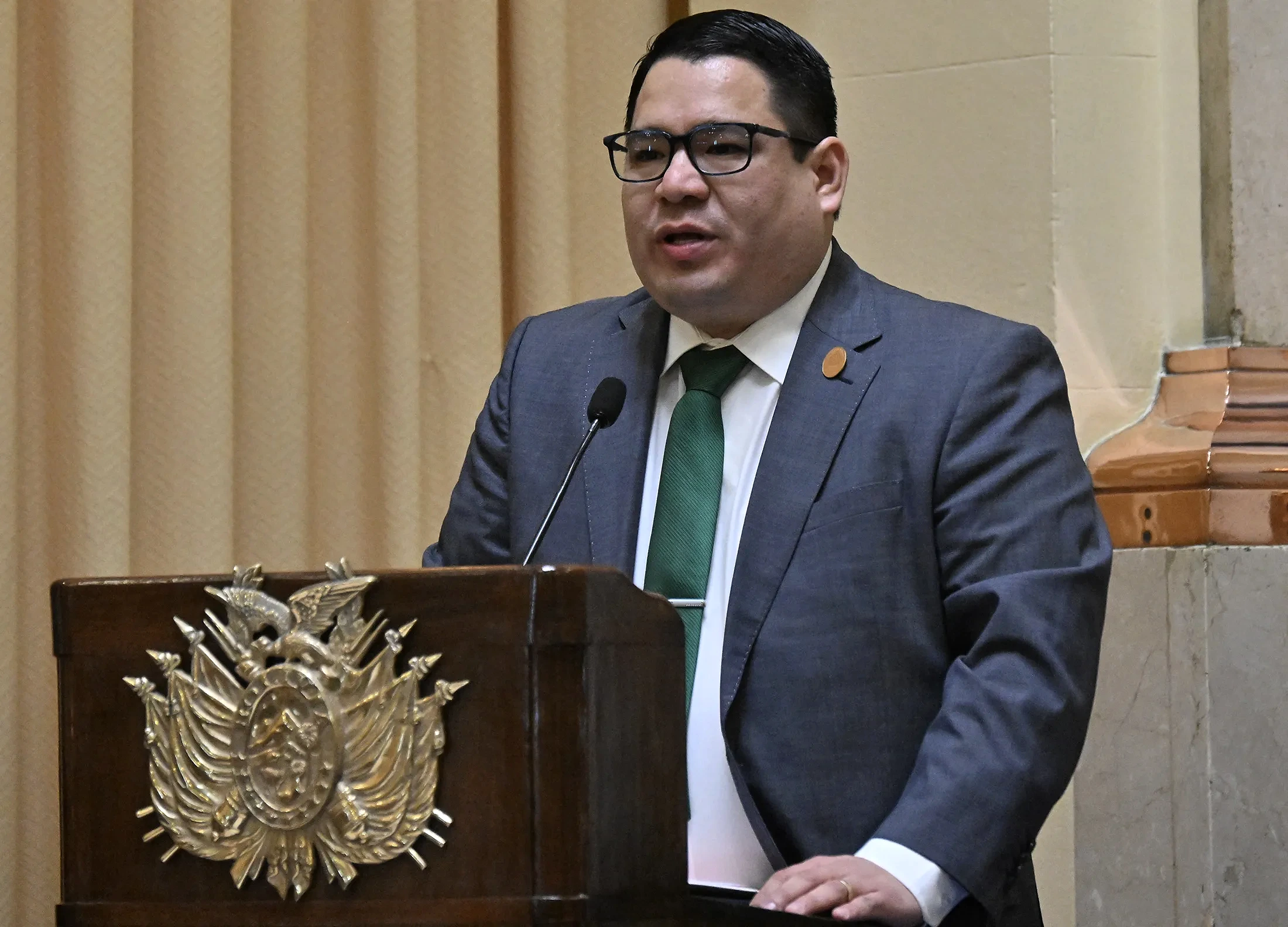 Roger Mariaca - Repercusiones internas y respuesta del gobierno boliviano