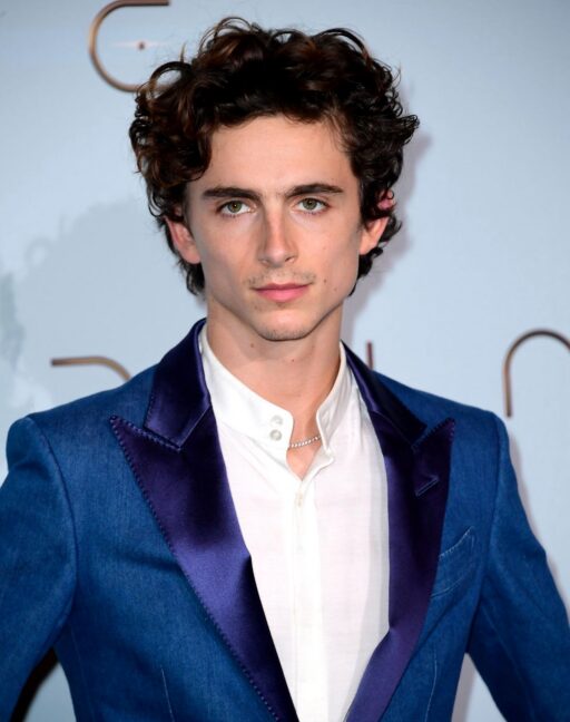 Imagen ilustrativa de Timothée Chalamet Facts | Britannica